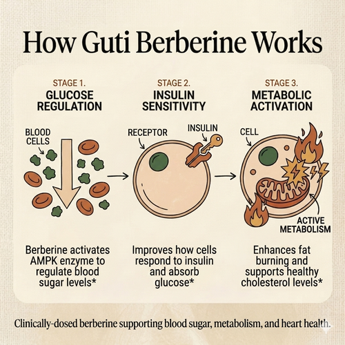 Berberine Formula