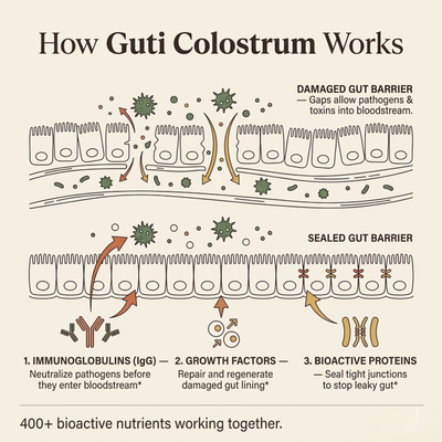 Bovine Colostrum TryGuti
