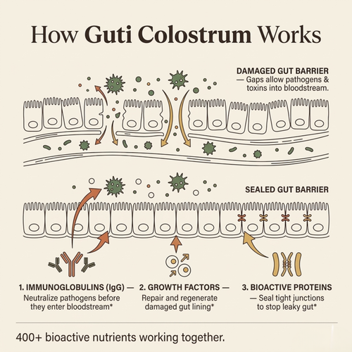Bovine Colostrum