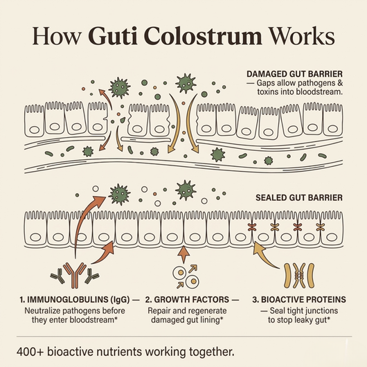Bovine Colostrum TryGuti