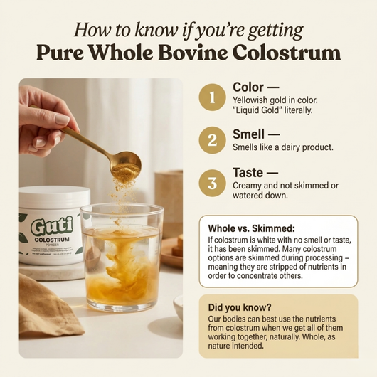 Bovine Colostrum TryGuti